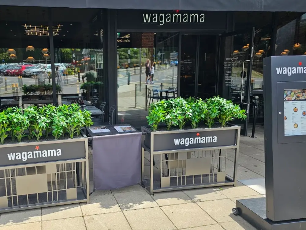 Wagamama watford woodside