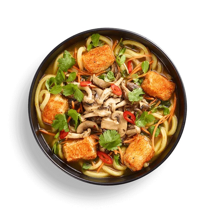 Wagamama kare burosu ramen, shichimi-coated silken tofu, udon noodles and curried vegetable broth